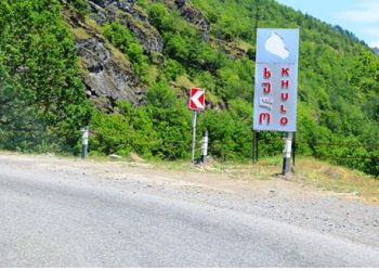 უბედური შემთხვევა ხულოში – კაცს ხე დაეცა და დაიღუპა