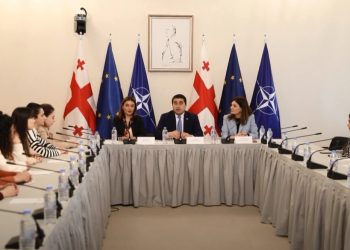 ახალგაზრდები ეთნიკური უმცირესობებით კომპაქტური დასახლებებიდან საქართველოს პარლამენტს ეწვივნენ