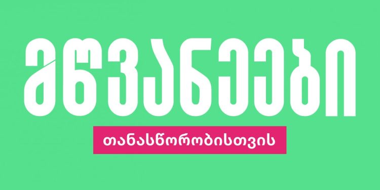 საქართველოში პირველი ქვიარ და ფემინისტური პოლიტიკური პარტია იქმნება