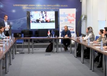 ვიშეგრადის ქვეყნების გამოცდილების გაზიარება საქართველოსთვის