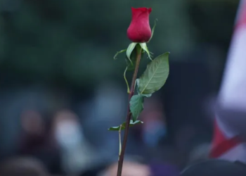 „ვარდების რევოლუციის“ 19 წლისთავთან დაკავშირებით თბილისსა და ბათუმში აქციები გაიმართება