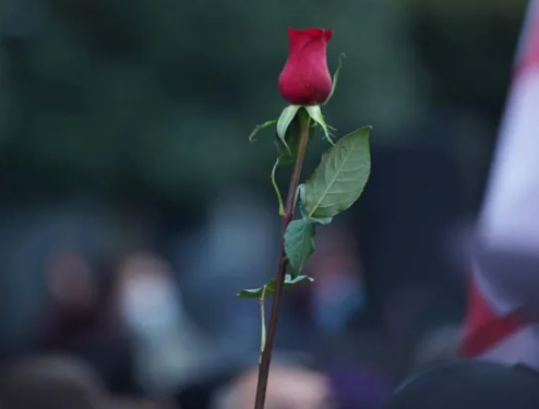 „ვარდების რევოლუციის“ 19 წლისთავთან დაკავშირებით თბილისსა და ბათუმში აქციები გაიმართება