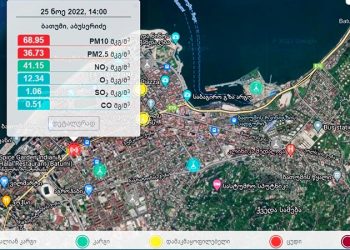 ბათუმში ჰაერი მტვრის ნაწილაკებითაა დაბინძურებული