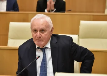 “რა კარგი იქნებოდა, რომ ასი ივანიშვილი იყოს, რა ბედნიერი იქნებოდა ჩვენი ქვეყანა”-ფრიდონ ინჯია ივანიშვილზე