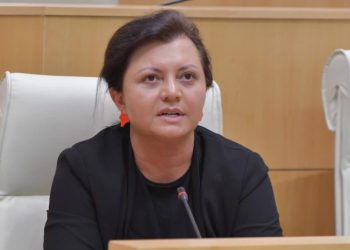 მიხეილ სააკაშვილის სურვილია, პოლიტიკიდან იყოს დისტანცირებული – ეკა ხერხეულიძე