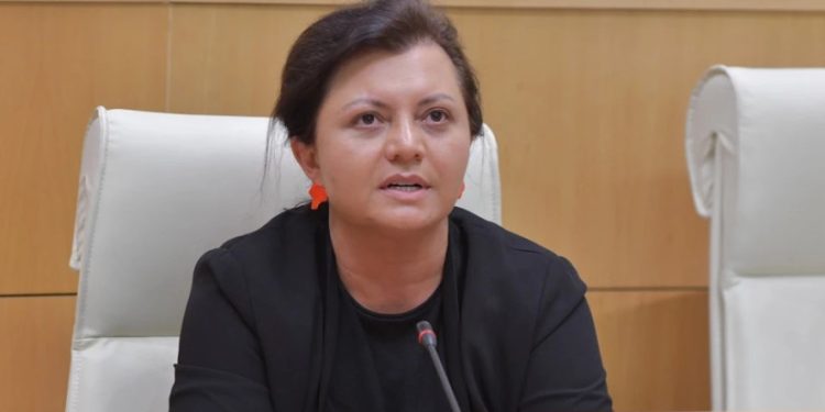 მიხეილ სააკაშვილის სურვილია, პოლიტიკიდან იყოს დისტანცირებული – ეკა ხერხეულიძე