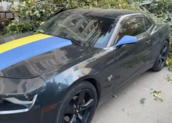 “ორჯერ იყო გაგზავნილი წერილი, რომ მოეჭრათ ხეები” – ვარკეთილში მანქანას ხე დაეცა