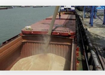 რუსეთი „მარცვლეულის შეთანხმებას“ დაუბრუნდა – მედია