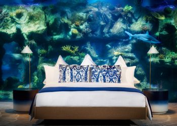 რამდენი მილიონის შემოსავალი აქვს სასტურო “პარაგრაფ შეკვეთილს”