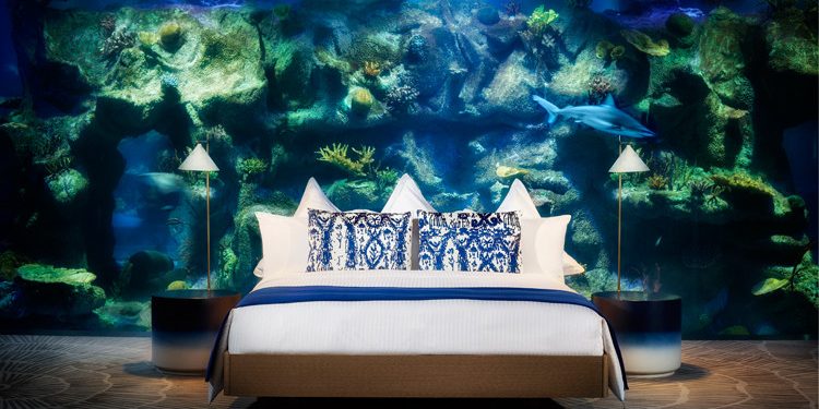 რამდენი მილიონის შემოსავალი აქვს სასტურო “პარაგრაფ შეკვეთილს”