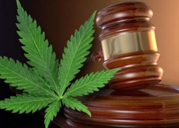 პირი რომელიც ამტკიცებდა ,რომ 2011 წელს მარიხუანა ჩაუდეს და 3 წელი მიუსაჯეს, წელს სააპელაციომ გაამართლა – საია