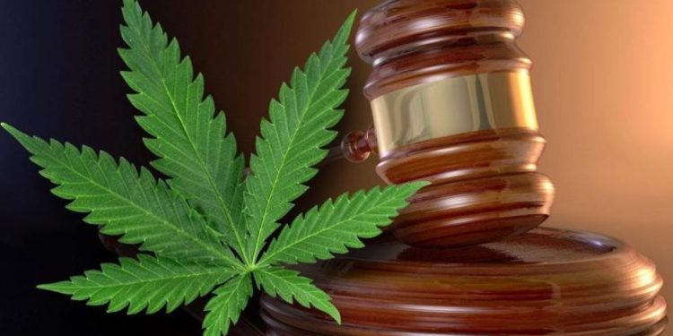 პირი რომელიც ამტკიცებდა ,რომ 2011 წელს მარიხუანა ჩაუდეს და 3 წელი მიუსაჯეს, წელს სააპელაციომ გაამართლა – საია