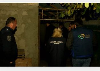 სეს-მა ქვემო ქართლში ცხენების უკანონო სასაკლაო აღმოაჩინა