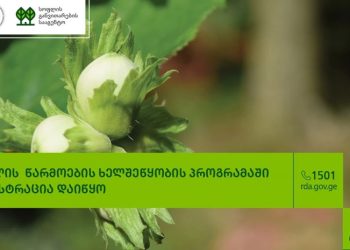 თხილის წარმოების ხელშეწყობის პროგრამაში რეგისტრაცია დაიწყო