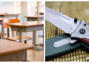 სკოლებში ცივი იარაღის ტარებისთვის სანქციები მკაცრდება