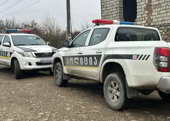 თელავის მუნიციპალიტეტში მეზობელმა მეზობელი დაჭრა