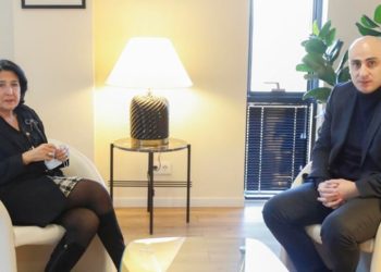 ნიკა მელია ადასტურებს, რომ სალომე ზურაბიშვილს შეხვდა