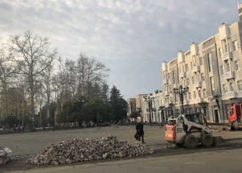 სად დაიდგმება ოზურგეთში მთავარი ნაძვის ხე