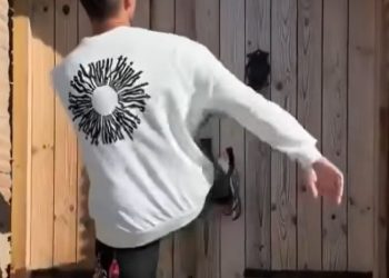 ვიდეო- რუსი ტურისტი ჩაილურის ისტორიული ციხე-სიმაგრის კარს ფეხით ამტვრევს