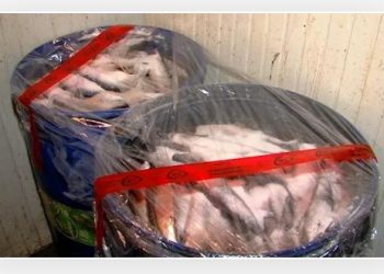 რომელ ობიექტში აღმოაჩინა სეს-მა 1166 კილოგრამი საკვებად უვარგისი თევზი