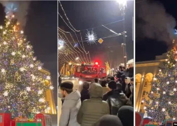 ახალი წლის ღამეს თბილისის მთავარ ნაძვის ხეს ცეცხლი გაუჩნდა