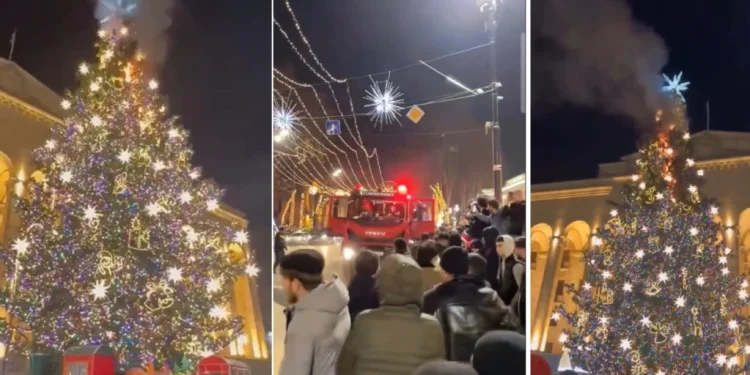 ახალი წლის ღამეს თბილისის მთავარ ნაძვის ხეს ცეცხლი გაუჩნდა