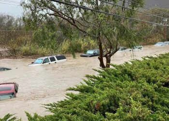 ვიდეო – კალიფორნიაში შტორმის შედეგად 14 ადამიანი დაიღუპა