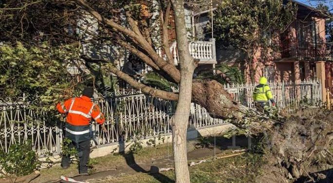 ძლიერმა ქარმა რეგიონებში საცხოვრებელი სახლები და ელექტროგადამცემი ხაზები დააზიანა (ფოტოები)