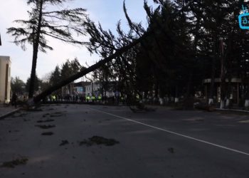 გურიის რეგიონი სტიქიას ებრძვის