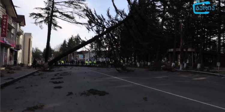 გურიის რეგიონი სტიქიას ებრძვის