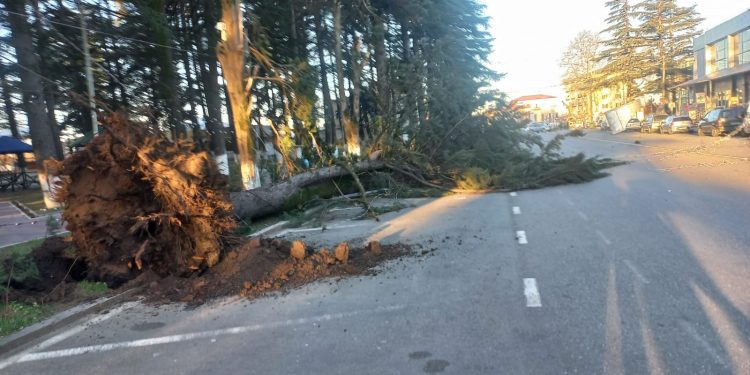 ძლიერმა ქარმა ლანჩხუთის მუნიციპალიტეტის რამდენიმე სოფელში პრობლემები შექმნა