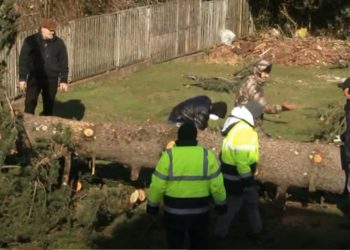 სტიქიამ ლანჩხუთში სახლებს სახურავები გადახადა