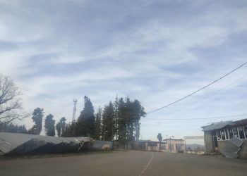 ძლიერმა ქარმა პრობლემები შექმნა სოფელ მზიანშიც