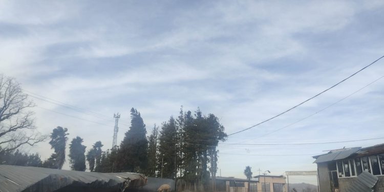 ძლიერმა ქარმა პრობლემები შექმნა სოფელ მზიანშიც