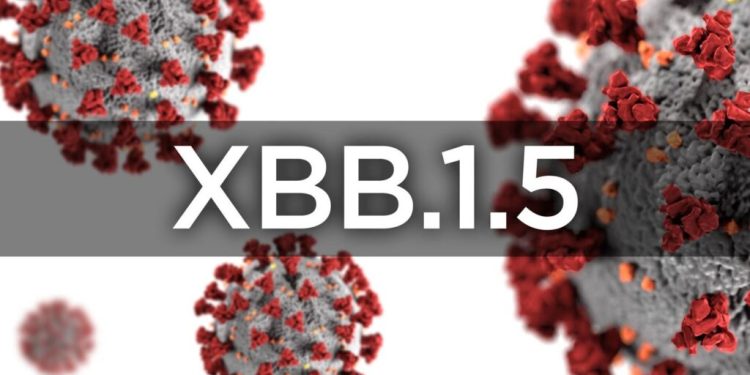 „ომიკრონის“ ახალმა ვარიანტმა აშშ-ში შესაძლოა, ინფიცირების შემთხვევების ზრდა გამოიწვიოს