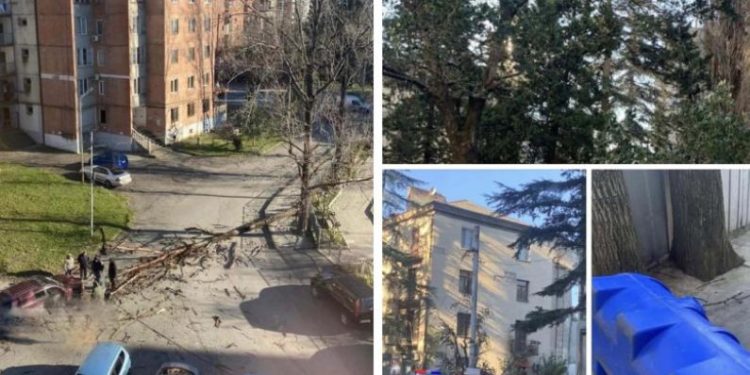 იმერეთში ძლიერი ქარის შედეგად, 70-მდე სახლის სახურავი დაზიანდა