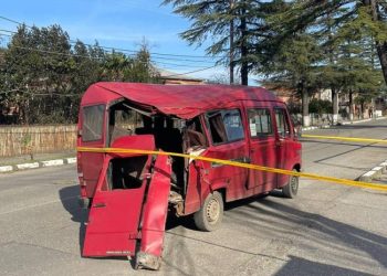 სენაკში მიკროავტობუსს ხე დაეცა – დაშავებულია რამდენიმე ადამიანი