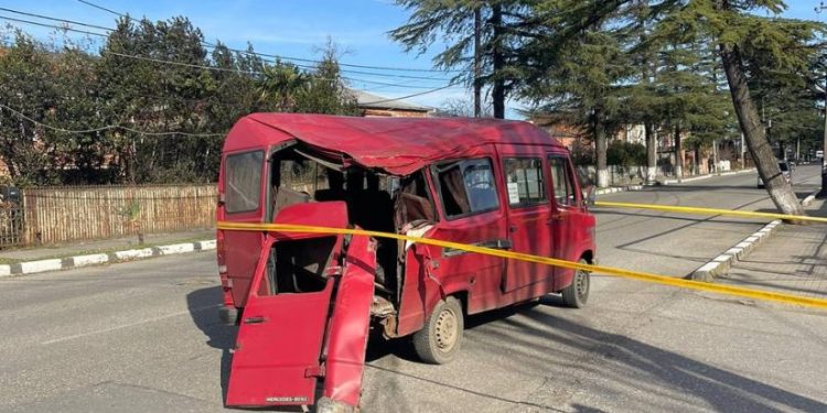 სენაკში მიკროავტობუსს ხე დაეცა – დაშავებულია რამდენიმე ადამიანი