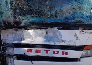 თბილისი-ზუგდიდის ავტობუსს, რომელშიც მგზავრები იმყოფებოდნენ, ხე დაეცა