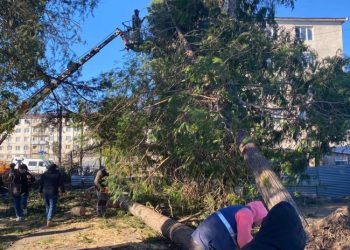 სამეგრელოში ქარმა 966 სახლისა და 38 კორპუსის სახურავი დააზიანა