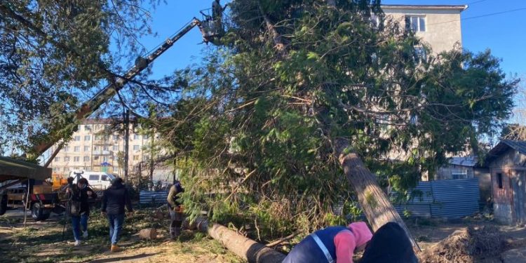 სამეგრელოში ქარმა 966 სახლისა და 38 კორპუსის სახურავი დააზიანა