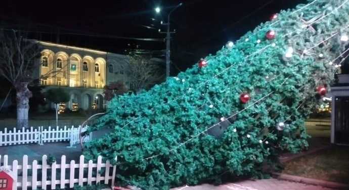 ქარმა სამტრედიაში ნაძვის ხე წააქცია