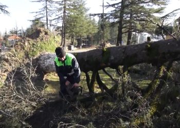 სტიქია ჩოხატაურში