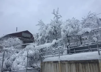 მაღალმთიან აჭარაში უხვმა ნალექმა პრობლემები შექმნა