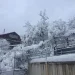 მაღალმთიან აჭარაში უხვმა ნალექმა პრობლემები შექმნა