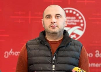 „ნაციონალური მოძრაობის“ თავმჯდომარე ლევან ხაბეიშვილი გახდა