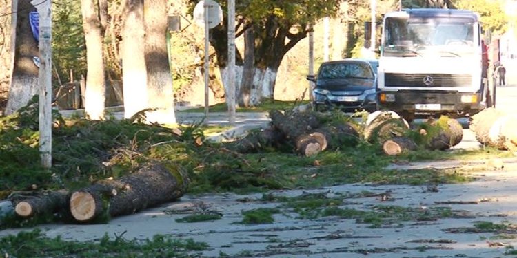 ჩოხატაურში, ქარის შედეგად, საცხოვრებლის გარეშე დარჩენილი შვიდი ოჯახი დროებით ქირით გადაიყვანეს