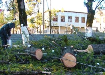 ჩოხატაურში უამინდობამ პრობლემები გამოიწვია