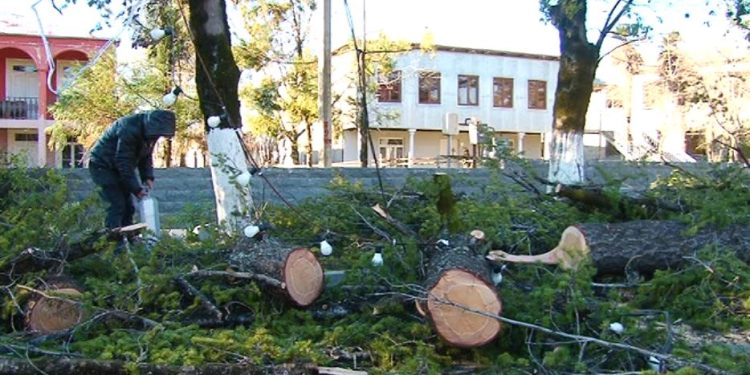 ჩოხატაურში უამინდობამ პრობლემები გამოიწვია