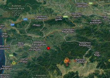 ღამით ოზურგეთში მიწისძვრა მოხდა
